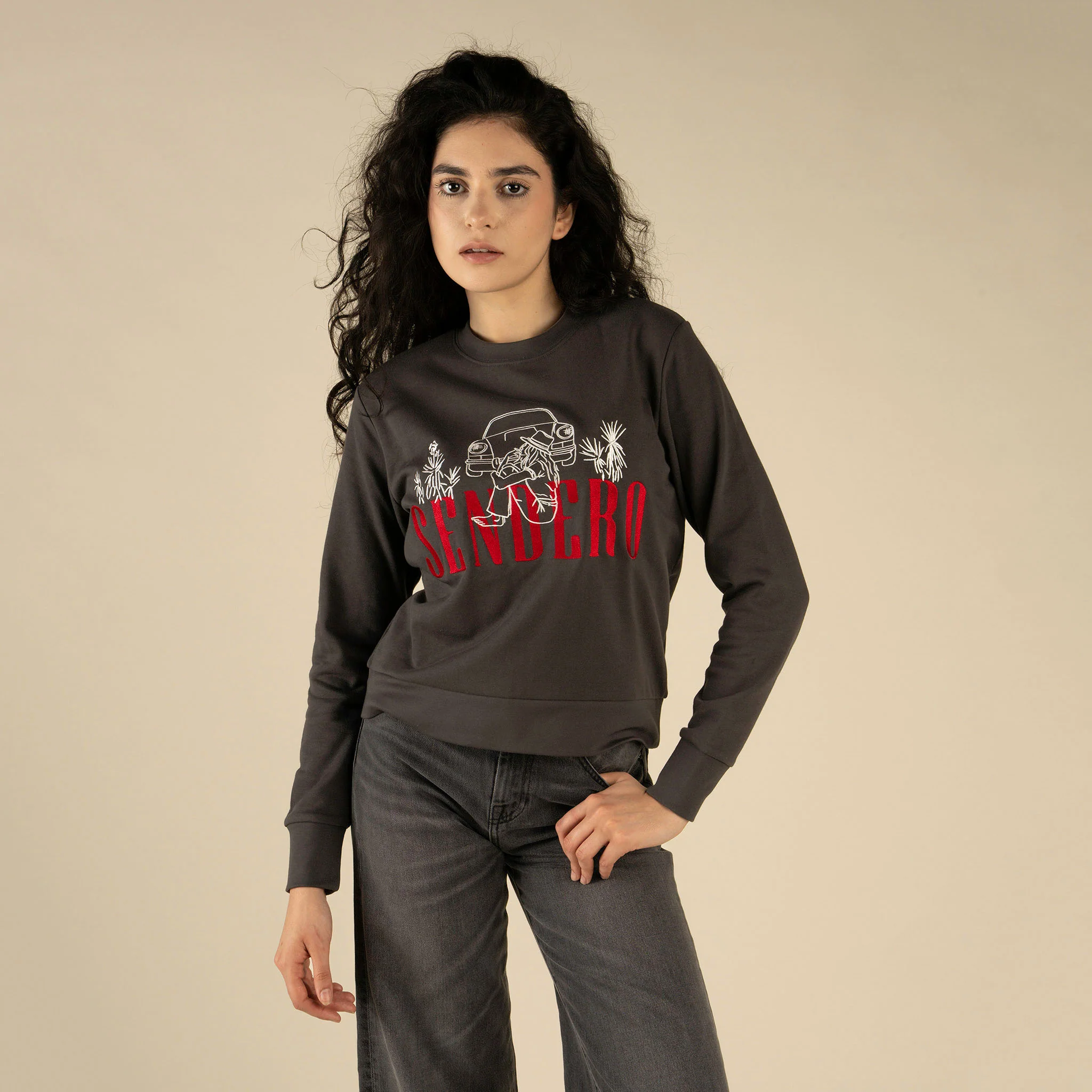 Desert Drifter Drop Shoulder Sweatshirt